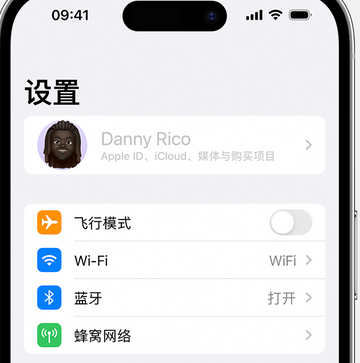 宁晋appleID维修服务iPhone设置中Apple ID显示为灰色无法使用 