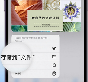 宁晋apple维修中心分享iPhone文件应用中存储和找到下载文件