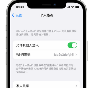 宁晋apple服务站点分享iPhone上个人热点丢失了怎么办