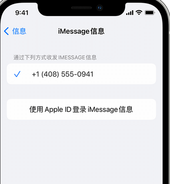 宁晋apple维修iPhone上无法正常发送iMessage信息