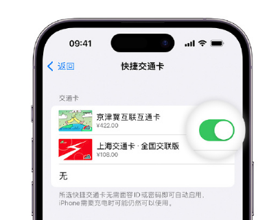 宁晋apple维修点分享iPhone上更换Apple Pay快捷交通卡手绘卡面 