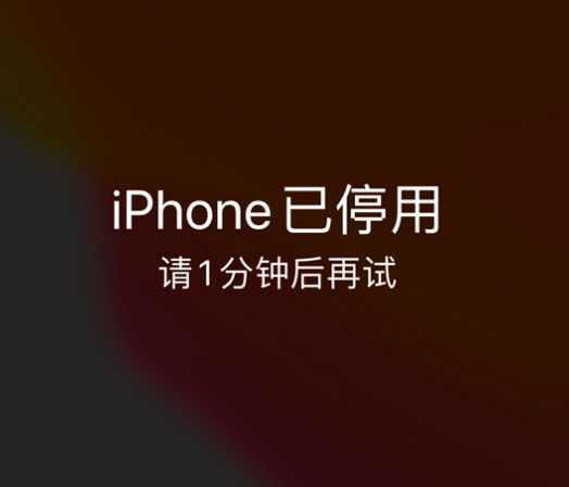 宁晋苹果手机维修分享:iPhone 显示“不可用”或“已停用”怎么办？还能保留数据吗？ 