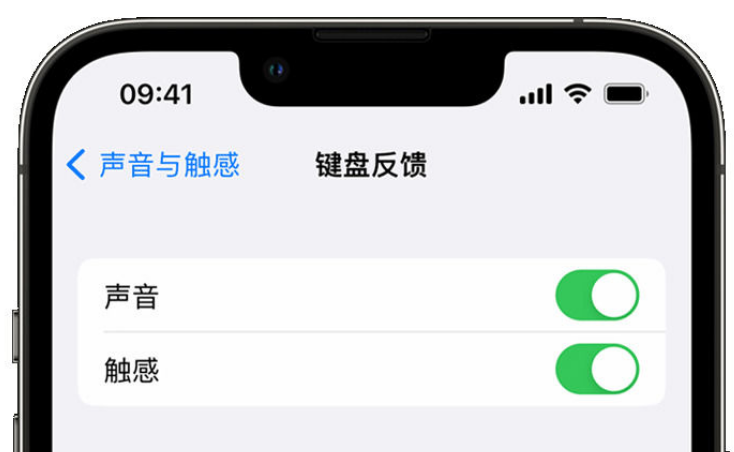 宁晋苹果手机维修分享iPhone 14触感键盘使用方法 