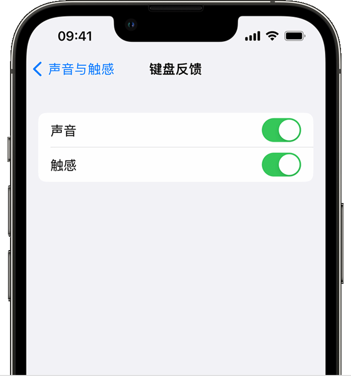 宁晋苹果14维修店分享如何在 iPhone 14 机型中使用触感键盘 