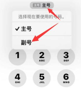 宁晋苹果14维修店分享iPhone 14 Pro Max使用副卡打电话的方法 