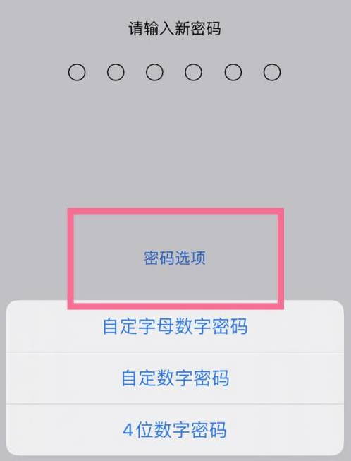 宁晋苹果14维修分享iPhone 14plus设置密码的方法 