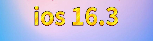 宁晋苹果服务网点分享苹果iOS16.3升级反馈汇总 