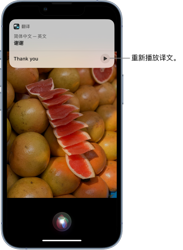 宁晋苹果14维修分享 iPhone 14 机型中使用 Siri：了解 Siri 能帮你做什么 