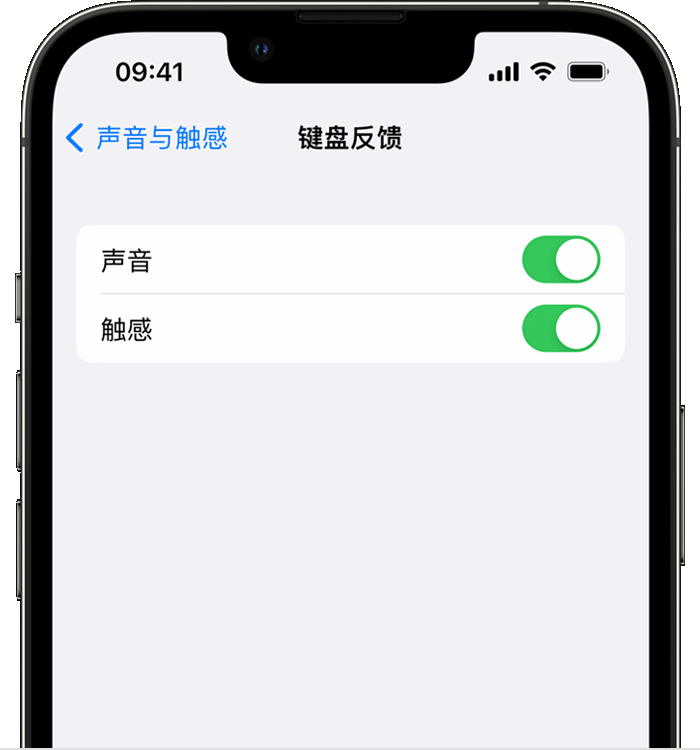 宁晋苹果14维修分享iPhone 14 系列机型如何开启键盘声音或触感反馈 