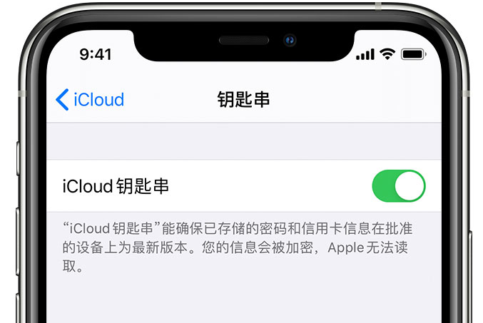 宁晋苹果手机维修分享在 iPhone 上开启 iCloud 钥匙串之后会储存哪些信息 