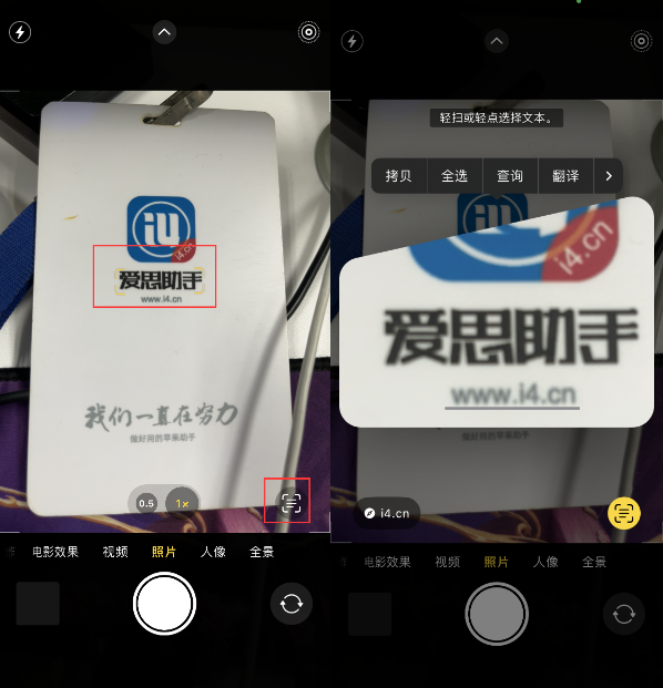 宁晋苹果手机维修分享升级iOS 16后如何通过相机翻译文本 