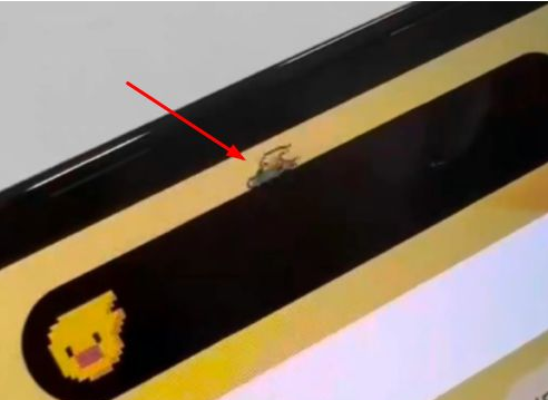 宁晋苹果14维修分享iPhone 14 Pro Max灵动岛怎么养宠物 