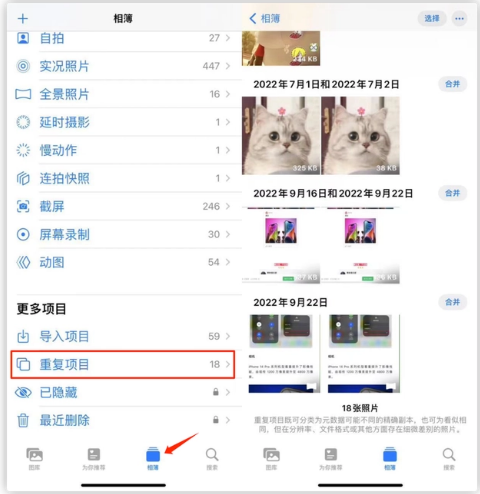 宁晋苹果手机维修分享iOS 16 中相册重复项目功能使用方法 