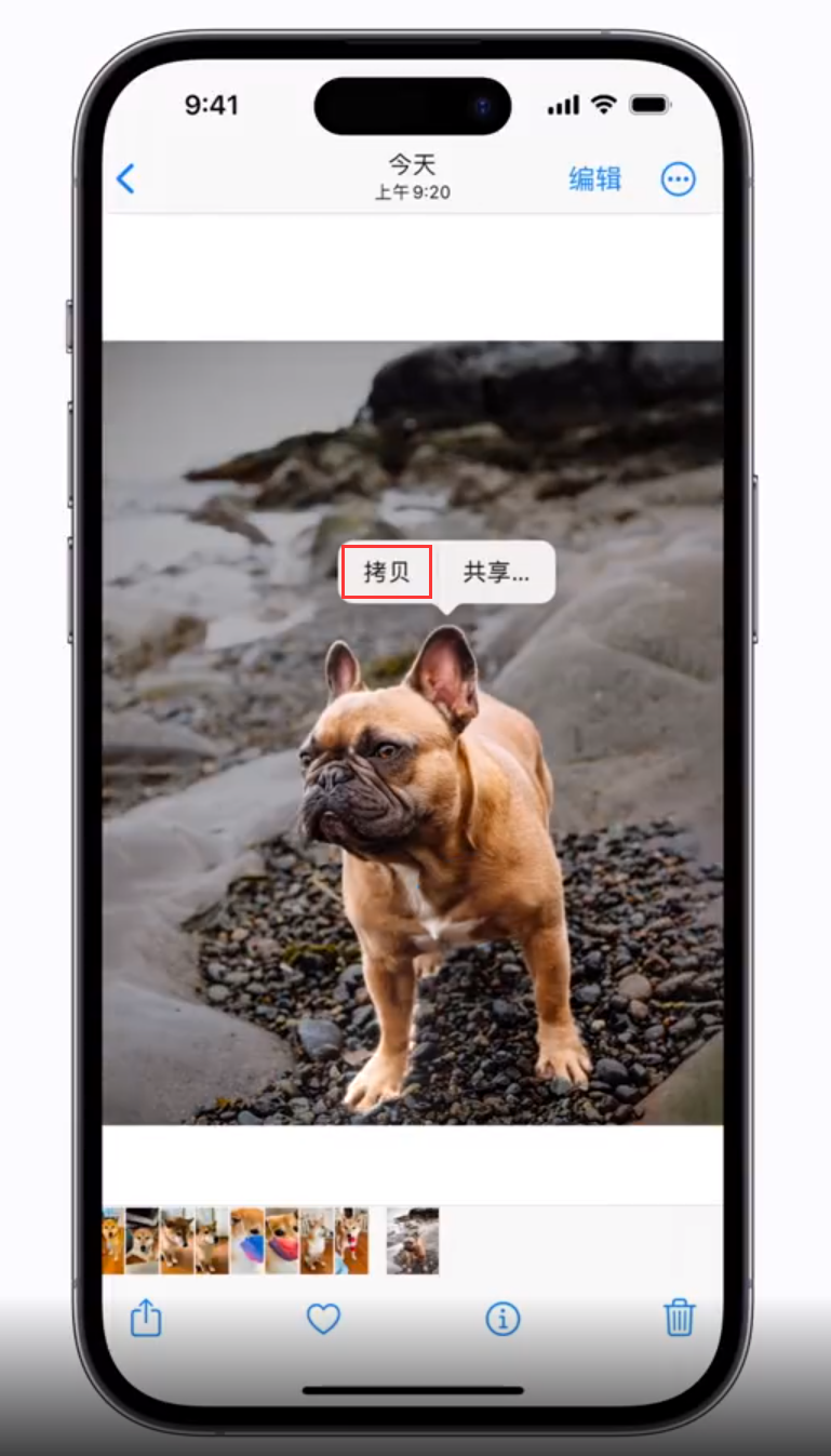 宁晋苹果手机维修分享 iOS 16 自带一键抠图功能 