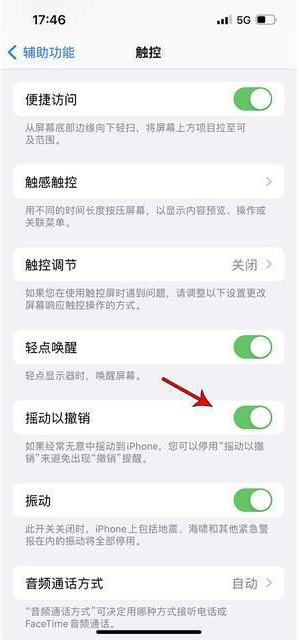 宁晋苹果手机维修分享iPhone手机如何设置摇一摇删除文字 