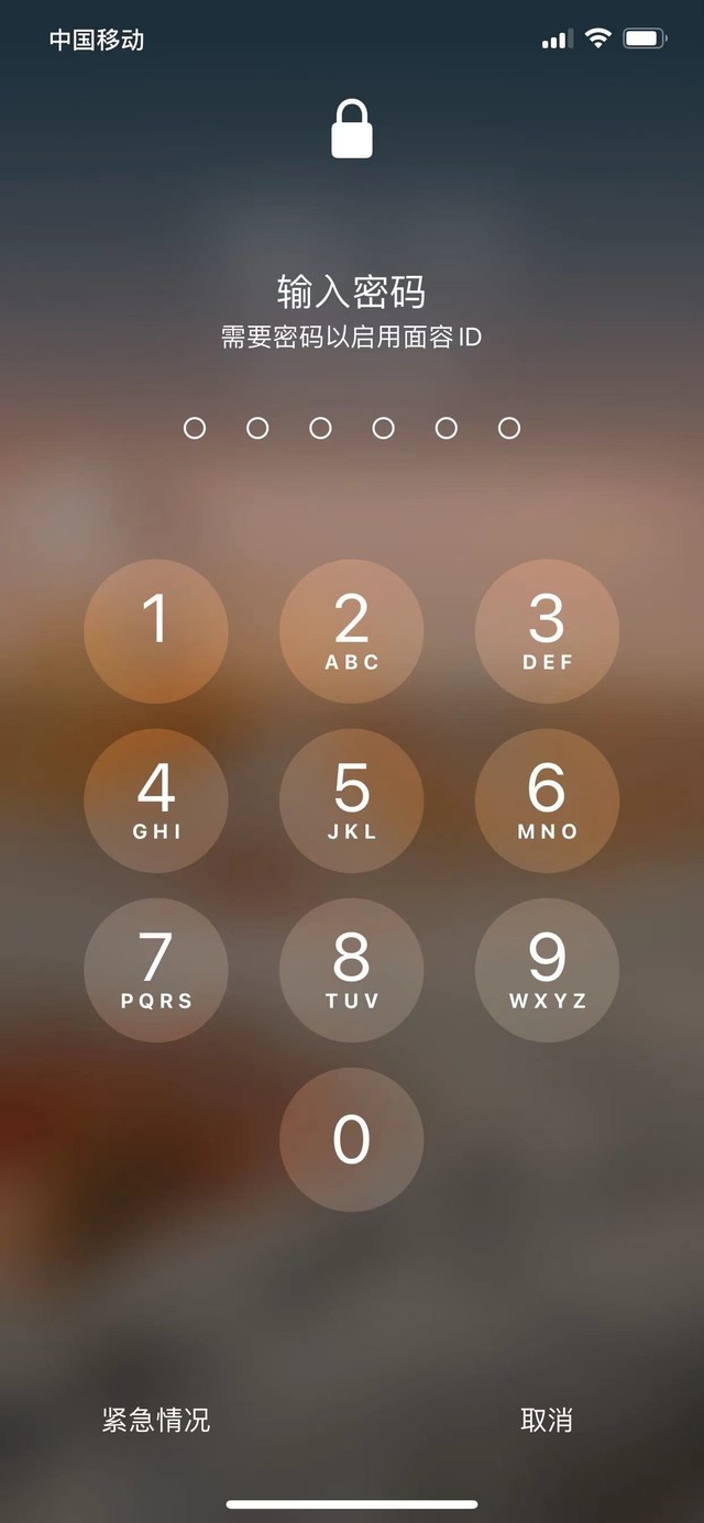 宁晋苹果13维修分享iPhone 13加强锁屏功能有什么用 