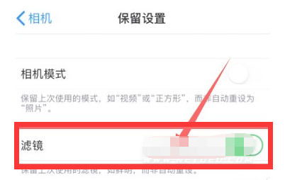 宁晋苹果13维修分享iPhone13拍照有绿点是怎么回事 