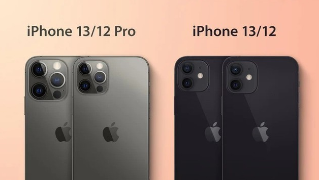 宁晋苹果手机维修分享iPhone 13 摄像头长什么样 