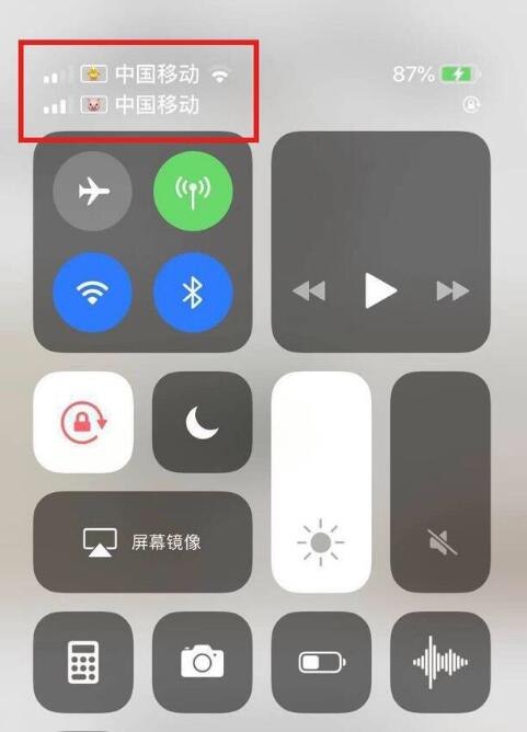 宁晋苹果手机维修分享为 iPhone 12 双卡设置标签 
