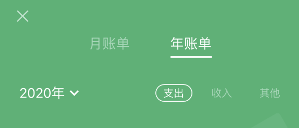 宁晋苹果手机维修分享如何在 iPhone 上查看支付宝和微信年支出账单 