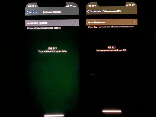 宁晋苹果手机维修分享iPhone 12 显示黑色画面时发绿光怎么办 